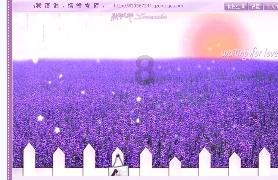 机智问答网页-智慧解答你的疑惑-如何举报自己挂靠二建首选平台